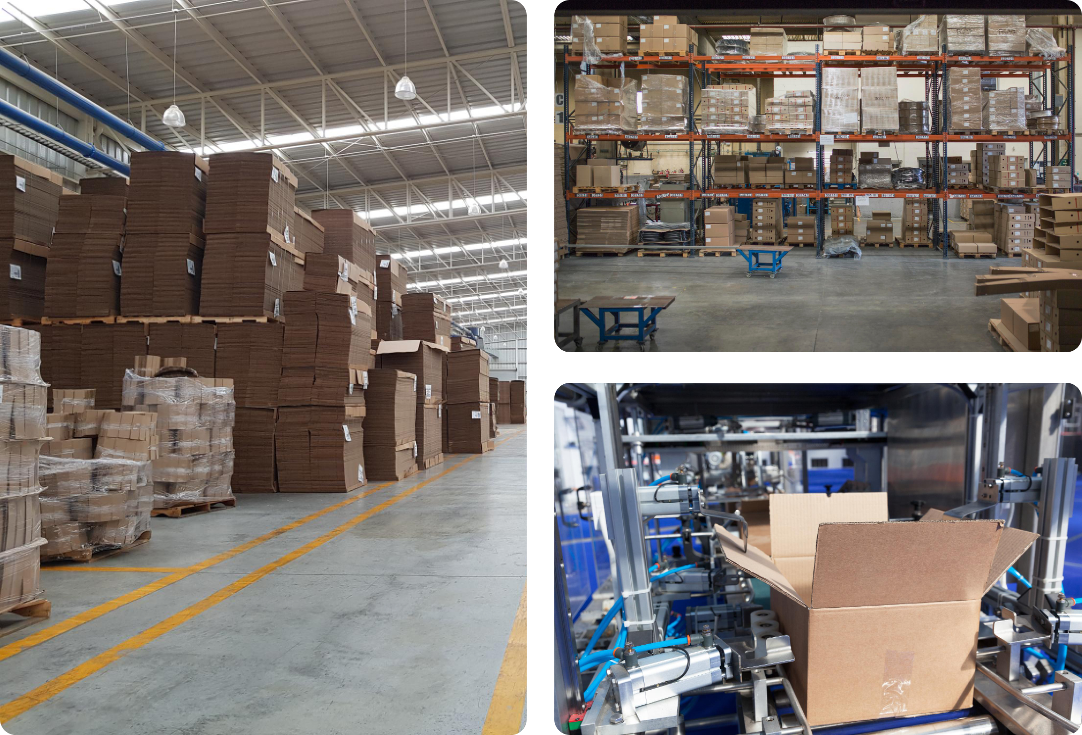 Fábrica de cajas Empaques 3A